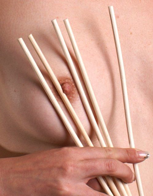 5er-Pack Cane unbehandelt - geschält, Ø ca. 5mm, Länge ca. 100cm